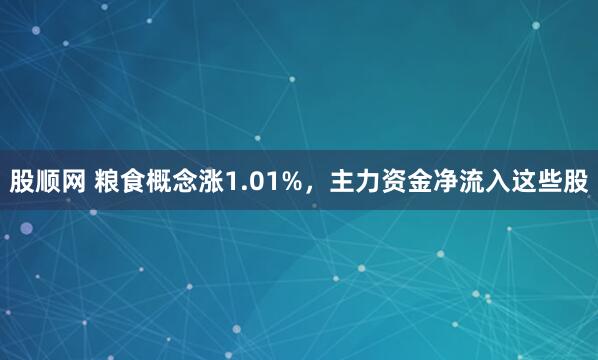 股顺网 粮食概念涨1.01%，主力资金净流入这些股